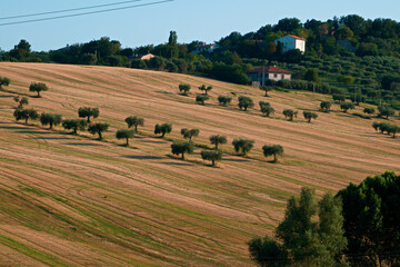 Landscapes of Marche , Italy: countryside.
