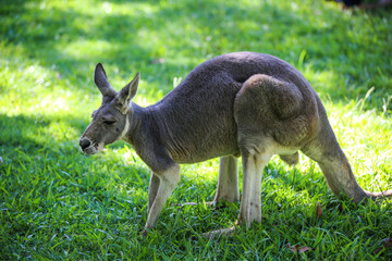 Australia Zoo, Queensland