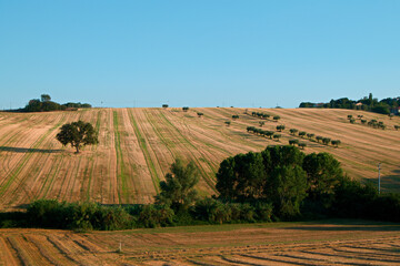 Landscapes of Marche , Italy: countryside.