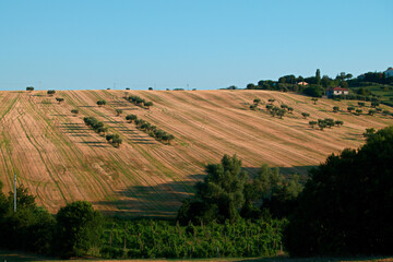 Fototapeta na wymiar Landscapes of Marche , Italy: countryside.