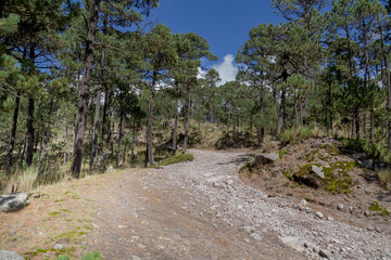 road to the top of mount tlaloc mexico