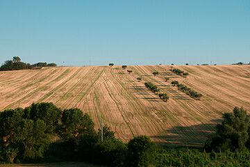 Landscapes of Marche , Italy: countryside.
