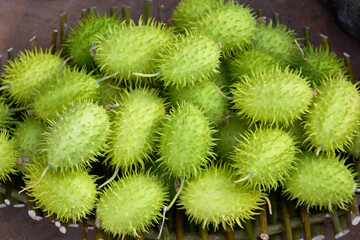 Green seeds of the plant Cucumis zeyheri Sond. Seeds of an exotic plant in a basket.