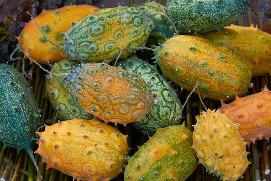 Green and yellow seeds of the plant Lagenaria siceraria Standl, familia Cucurbitaceae. Seeds of an exotic plant in a basket.