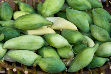 Green seeds of the plant Cyclanthera pedata L., familia Cucurbitaceae. Seeds of an exotic plant in...