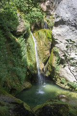 Peque&ntilde;a cascada  de agua entre  la vegetaci&oacute;n  y rocas.