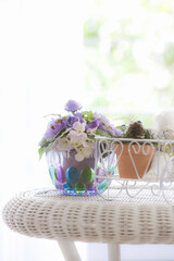 モーニングイメージ