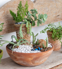 Clay pot with decorative plant and rocks on a wooden bench
