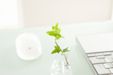 ノートパソコンと観葉植物