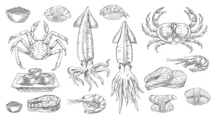 Seafood, sketch food of sea, fish and sushi, vector isolated hand drawn icons. Seafood oyster, mussel, shrimp and crab with salmon steaks, sashimi and caviar, gourmet, cuisine prawn, squid and lobster