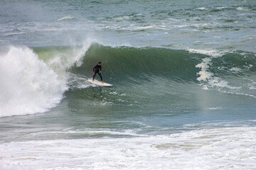 surfing the wave