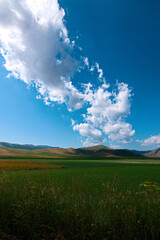 Obraz premium Landscape of Italy: Castelluccio di Norcia