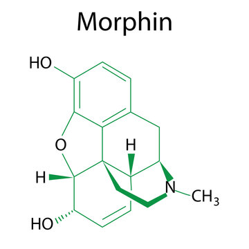 Morphine in flat style. Flat illustration with morphine for medical design. Morphine, great design for any purposes. Vector illustration. Stock photo.