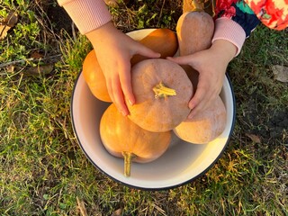 Toddler girl holding a pumpkin