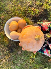 Toddler girl holding a pumpkin