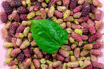 Background with fresh blackberry fruits grouped and a leaf on top