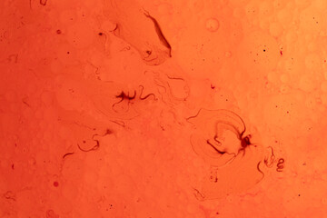 Organic fluids. Series of photographs of fluids. Abstract backgrounds. Simulation of organic fluids...