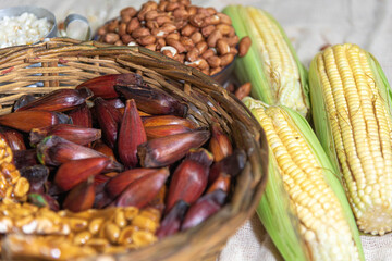 Obraz premium Wicker basket with typical Brazilian foods like pine nuts, popcorn, brown sugar, peanuts and green corn