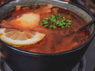 vegetable soup with meat


Borscht with lemon and herbs in a gray plate, very close-up side view.