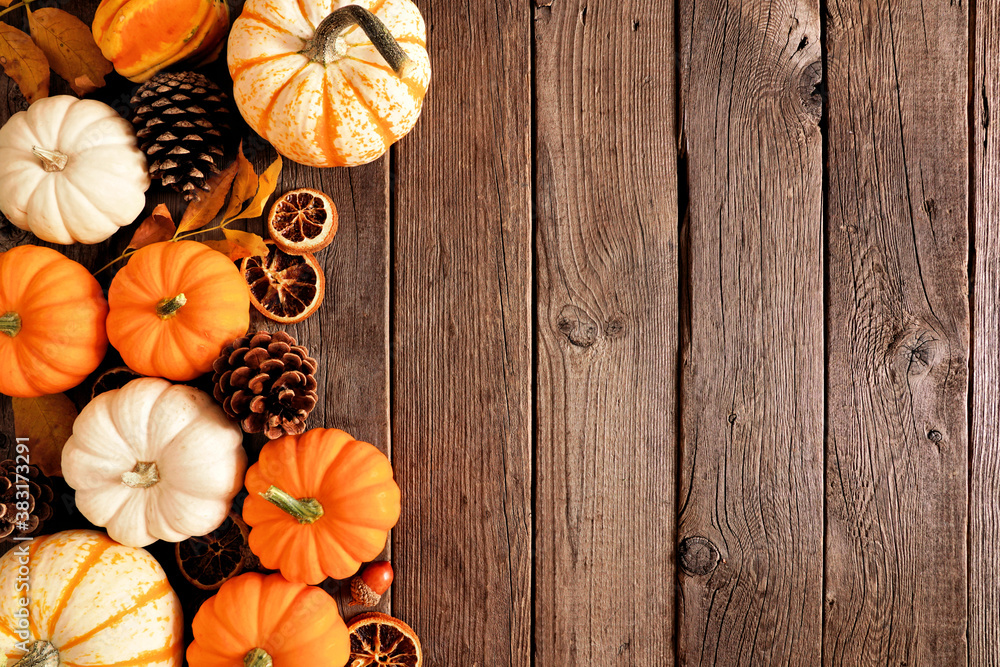 Poster autumn side border of pumpkins and natural fall decor. overhead view on a rustic dark wood backgroun
