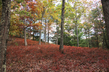 Autumn Scenes in a Pennsylvania Valley
