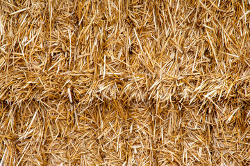 The pressed straw texture and background