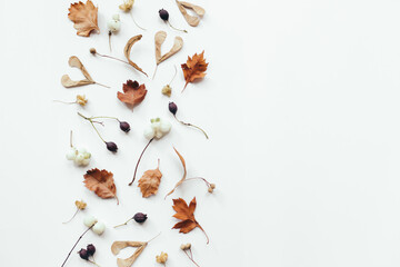 Autumn leaves on white background. Autumn, fall composition. Flat lay, top view, copy space