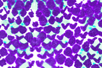 Watercolor Snake Skin. 