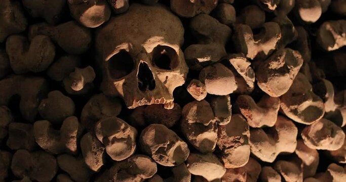 Wall made of human bones and skulls