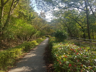 path in the park