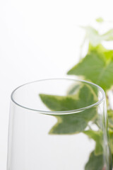 ワイングラスとアイビー