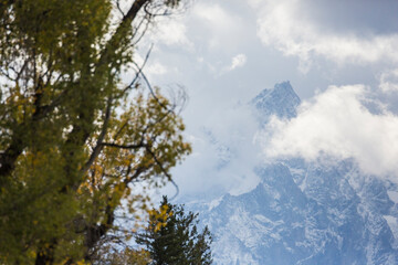 Landscape view of the fall colors in Grand Teton National Park (Wyoming).