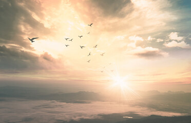 Background of heaven concept: Birds flying with mountain and sky sunrise. Nok Ann cliff, Phu Kradueng National Park, Loei, Thailand, Asia