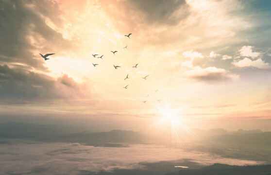 Background of heaven concept: Birds flying with mountain and sky sunrise. Nok Ann cliff, Phu Kradueng National Park, Loei, Thailand, Asia