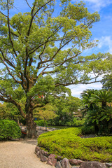 Obraz premium 九華公園