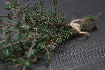 Obraz premium a bunch of thyme from the garden on a dark background