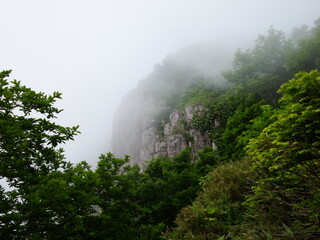 崖と霧