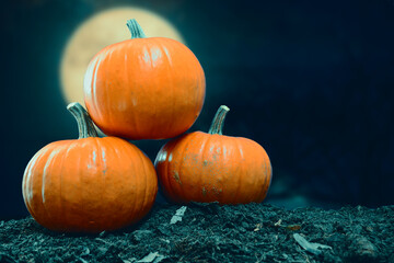 Pumpkins in full moon night.