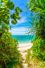 電信屋跡からビーチにぬける小径