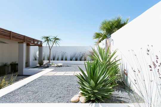 Plants growing on sunny modern patio