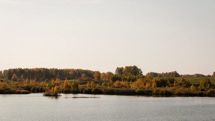 Scenery. Lake Shore. On the opposite bank there are bushes and trees with yellow autumn foliage. The gray sky is reflected in the water.