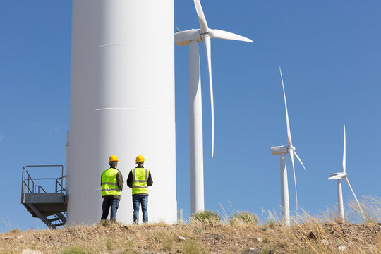 Engineers examining wind turbines on sunny wind farm