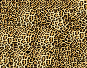 abstract exotic animal skin texture