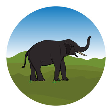 graphics design logo elephant standing with mountain background vector Illustration