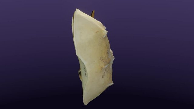 Arthropod: Limulus (horseshoe crab), cg, camera orbits