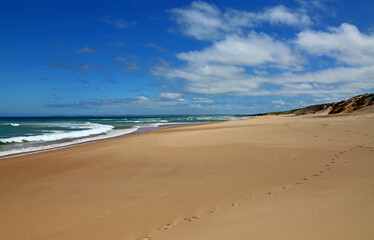 Fototapeta na wymiar On Woolamai Beach - Phillip Island, Victoria, Australia