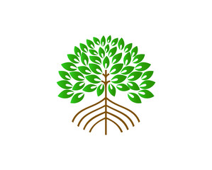 Mangrove tree logo design with circular shape, vector isolated