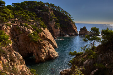 Rocky coast landscape, with cliffs crowned by pine forest, ending in a calm blue sea