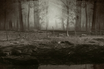 Haunted forest with fog and dramatic scene background