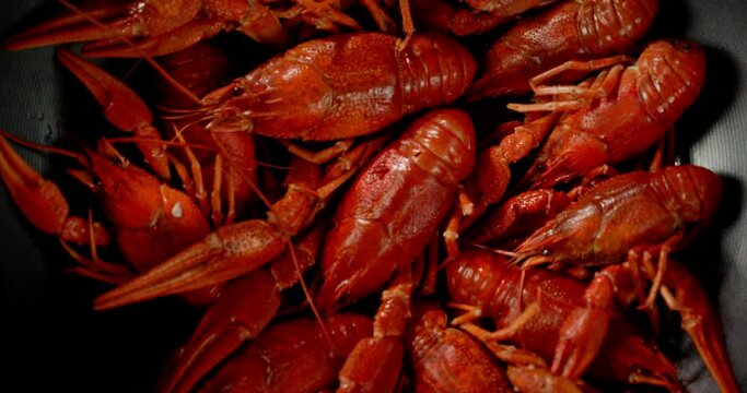 Red boiled crayfish in the bowl. 